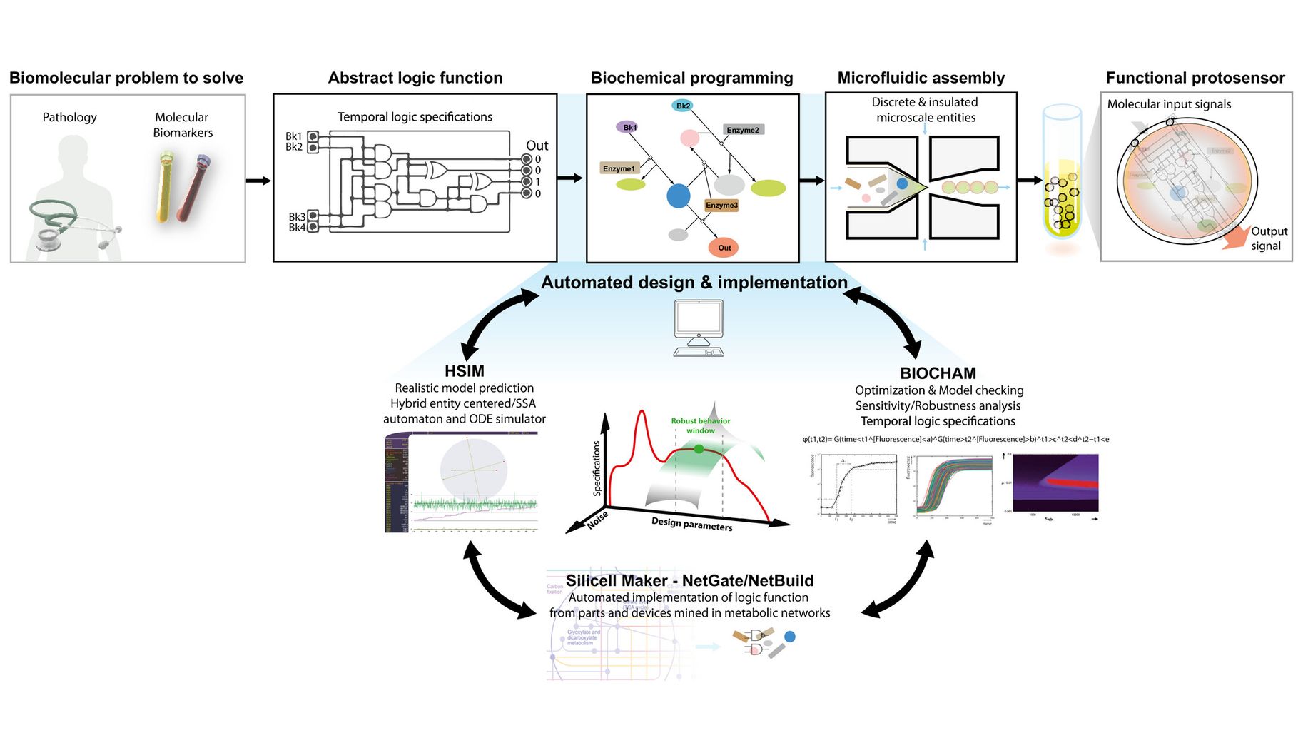 General computer‐aided design methodology for the programming of synthetic protosensors