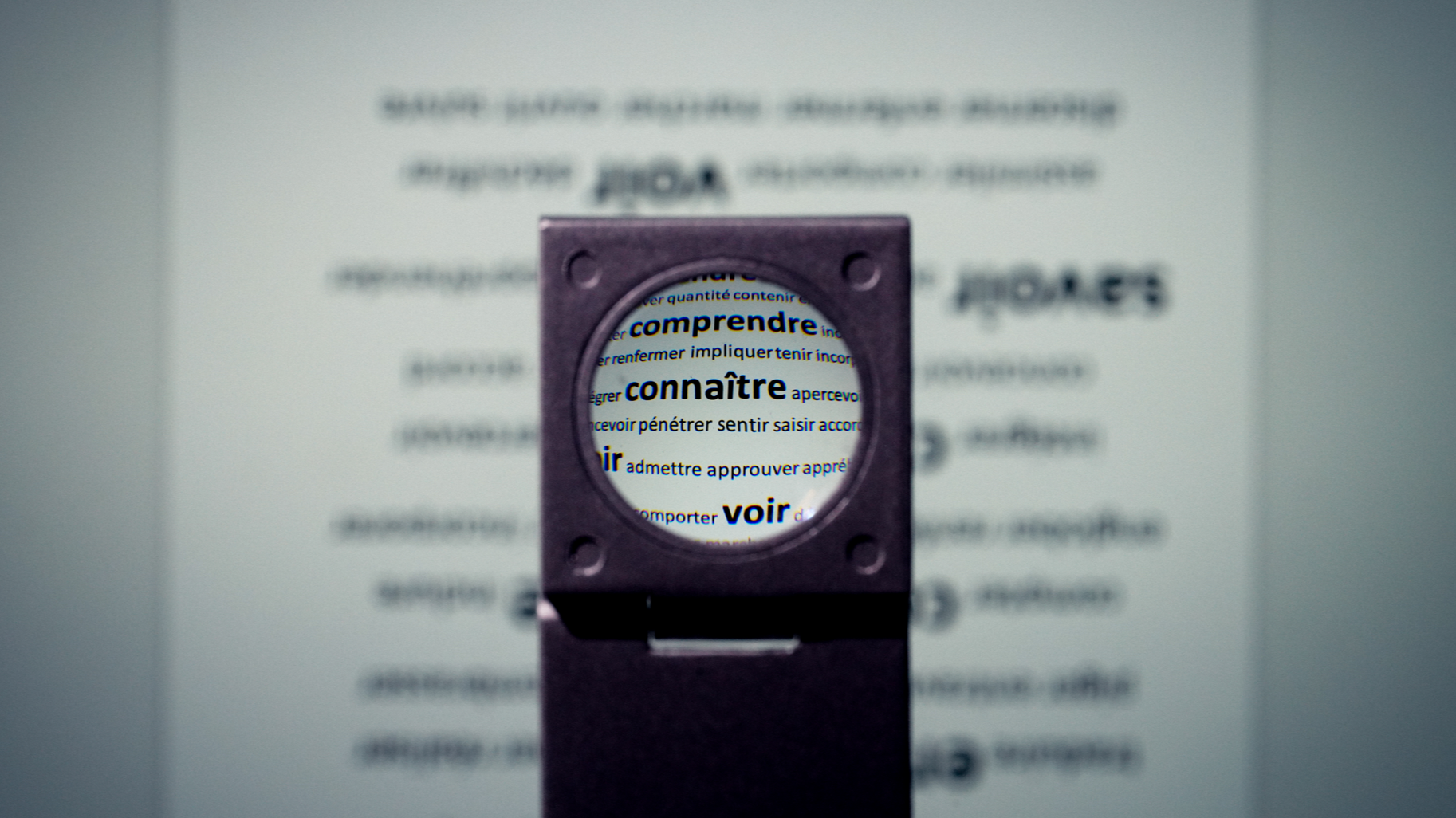 Une loupe sur les mots connaître, comprendre, voir