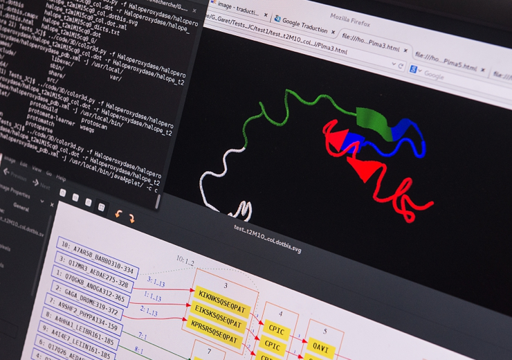 Ecran d'ordinateur montrant un outil en bioinformatique