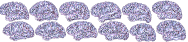 ibc-fig-1_reference