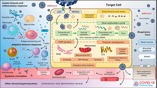 La COVID19 Disease Map