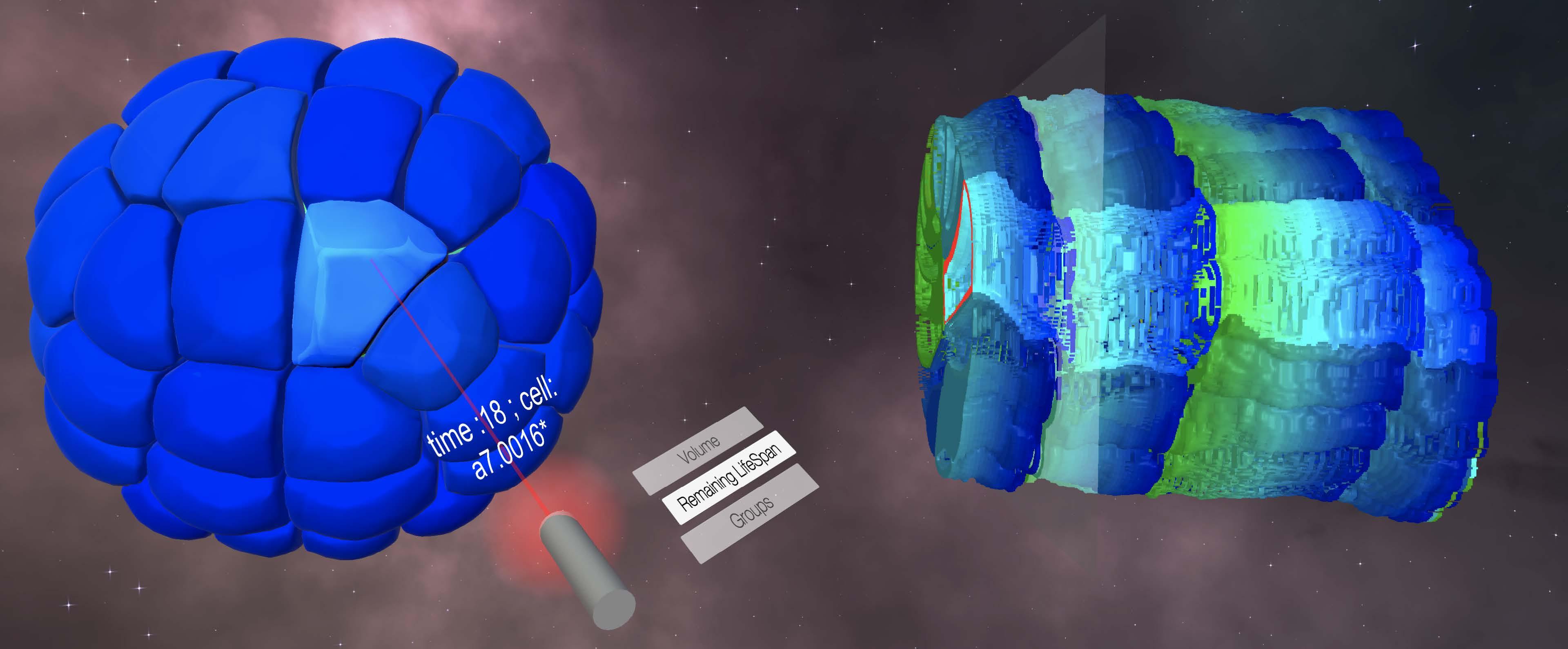 représentation 3D d'une cellule