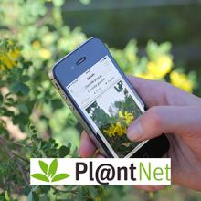 PlantNet